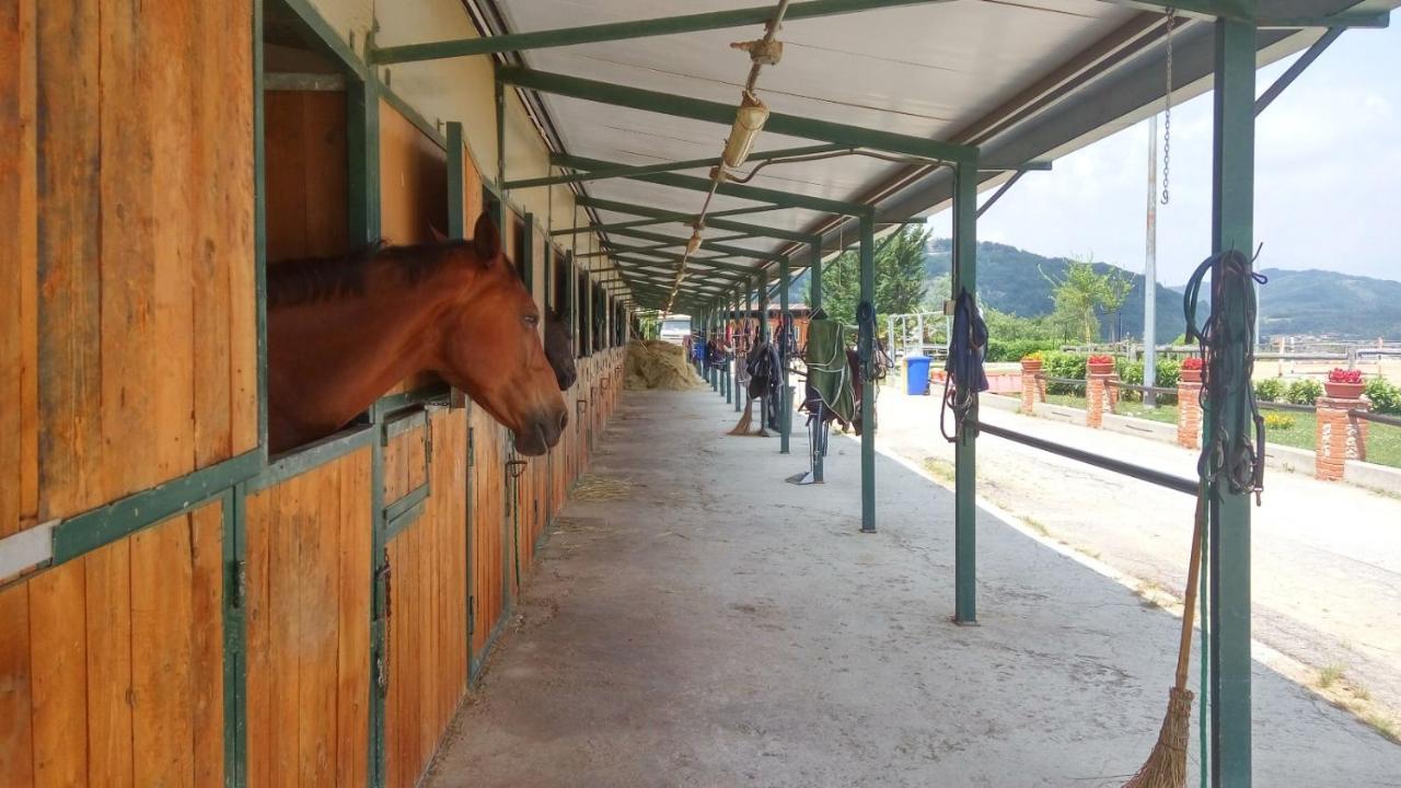 Relais Black Horse Millesimo المظهر الخارجي الصورة