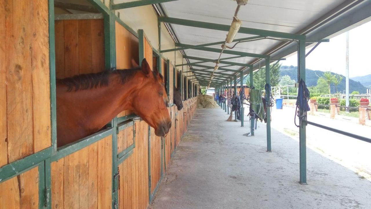 Relais Black Horse Millesimo المظهر الخارجي الصورة